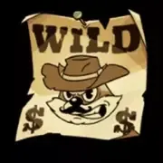 Wild Symbol